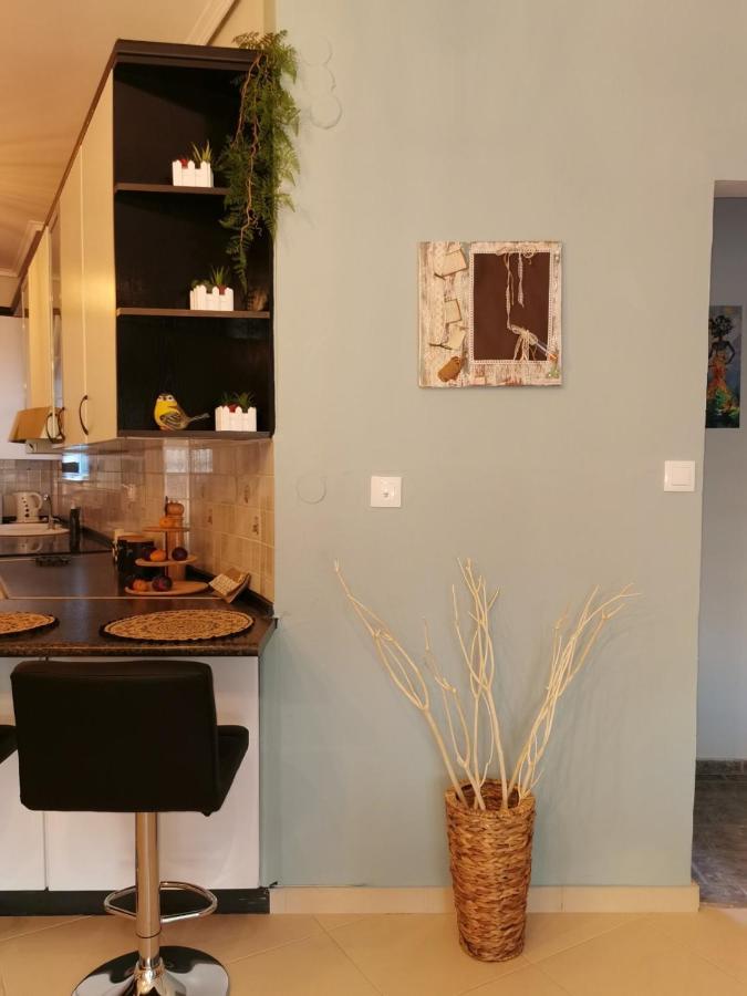 Theia Analipsi Central Apartment Катеріні Екстер'єр фото