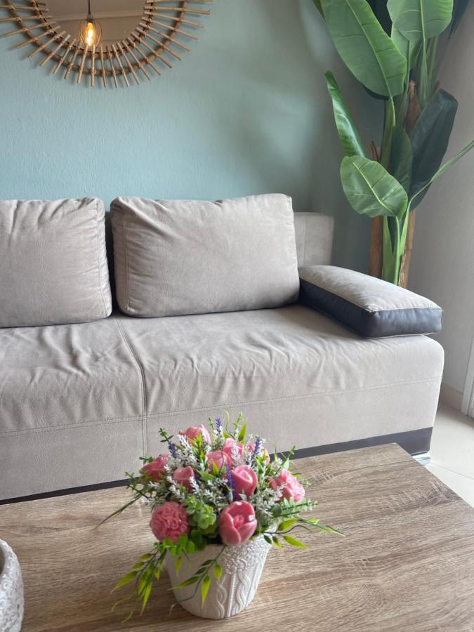 Theia Analipsi Central Apartment Катеріні Екстер'єр фото